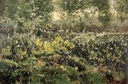 Karl Hagemeister Landscape in Ferch at the Schwielowses oil painting